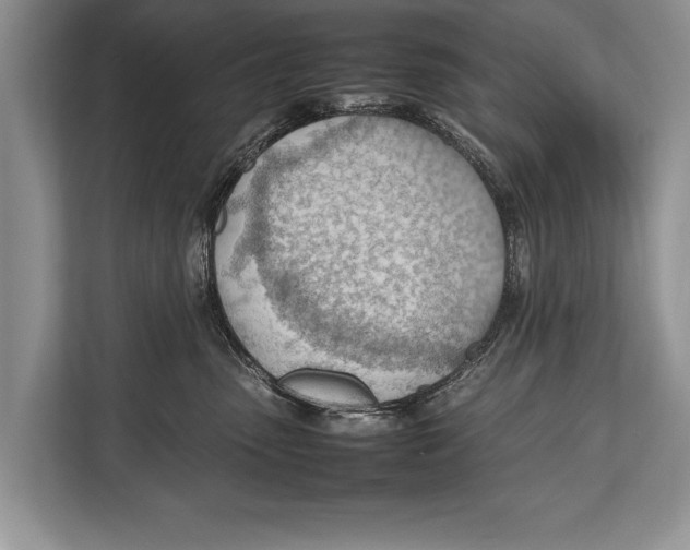 X0000112810475200909181554