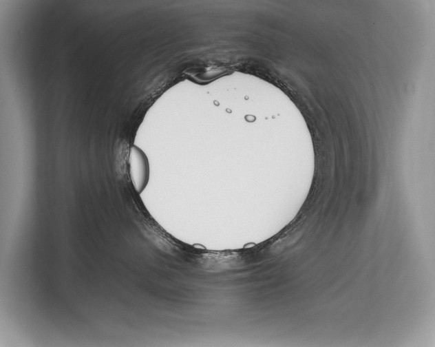 X0000112810480200909181554