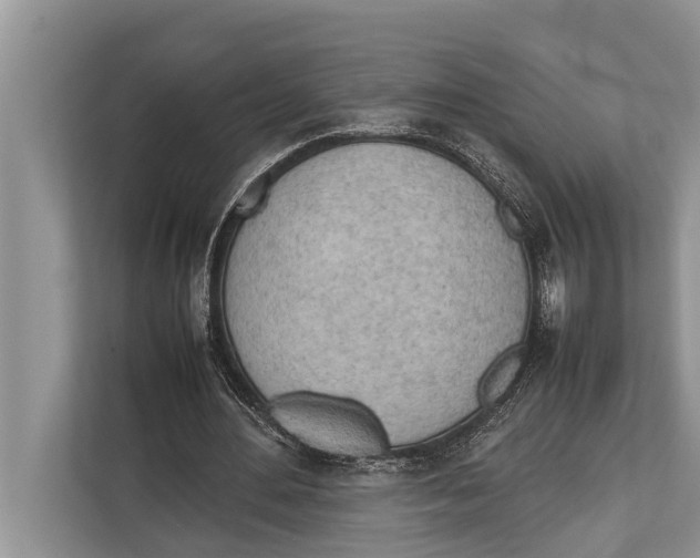 X0000112810484200909181553