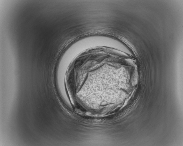 X0000112810493200909181553