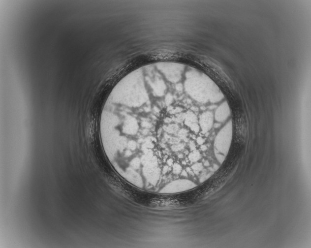 X0000112810503200909181553