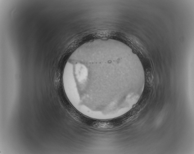 X0000112810507200909181553