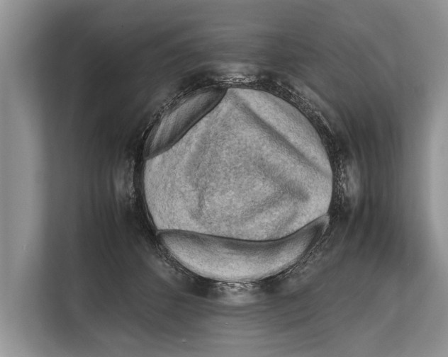 X0000112810512200909181553
