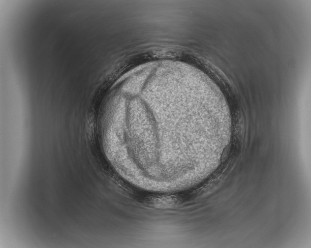 X0000112810513200909181553