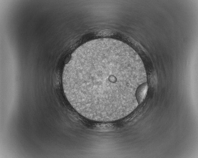 X0000112810517200909181553
