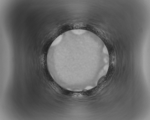 X0000112810519200909181553