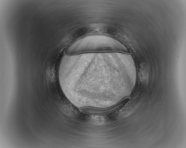 X0000112810520200909181553
