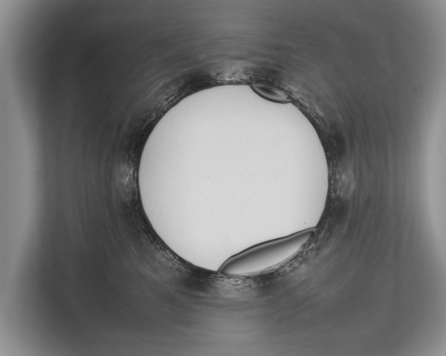 X0000112810521200909181553