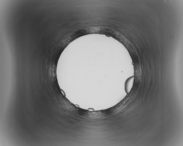 X0000112810525200909181553