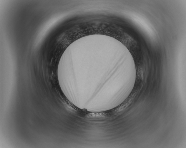 X0000112810526200909181553