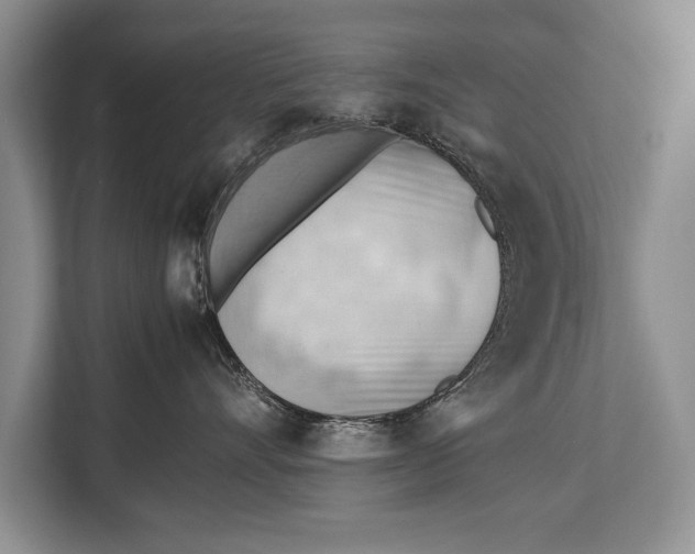 X0000112810528200909181553