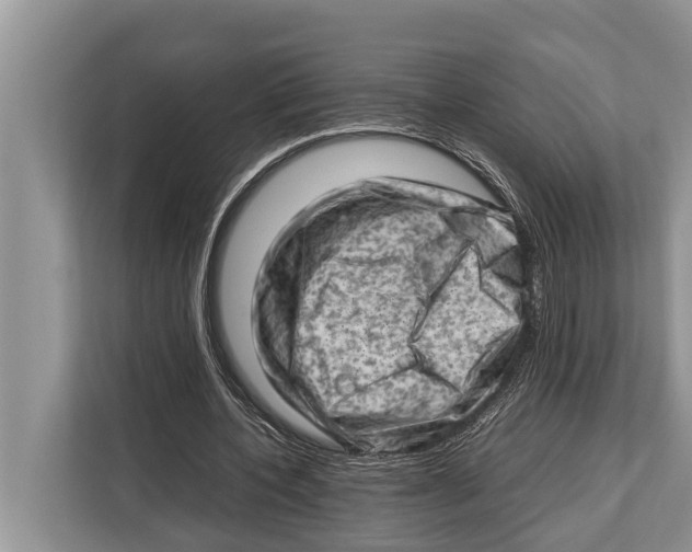 X0000112810532200909181552