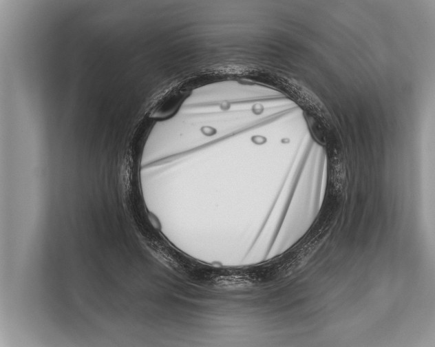X0000112810544200909181552