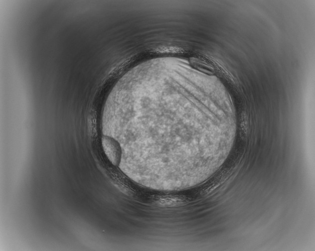 X0000112810547200909181552