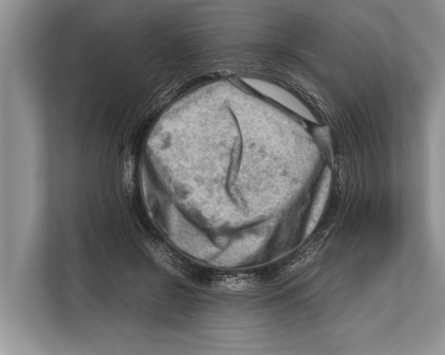 X0000112810550200909181552