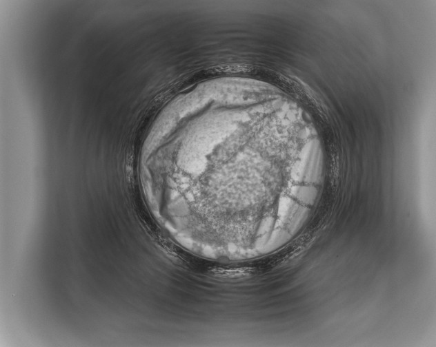 X0000112810553200909181552