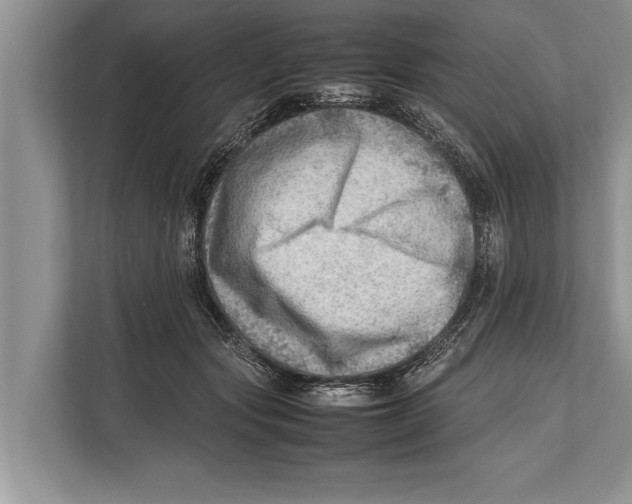 X0000112810557200909181552