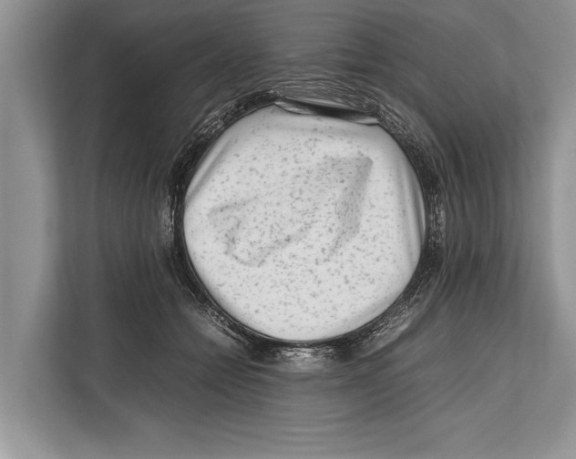 X0000112810558200909181552