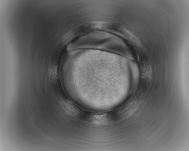 X0000112810560200909181552