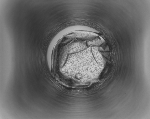 X0000112810562200909181552