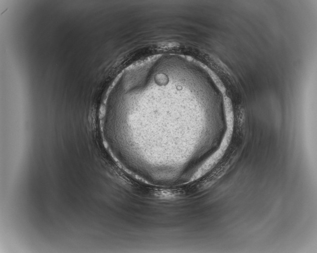 X0000112810565200909181552