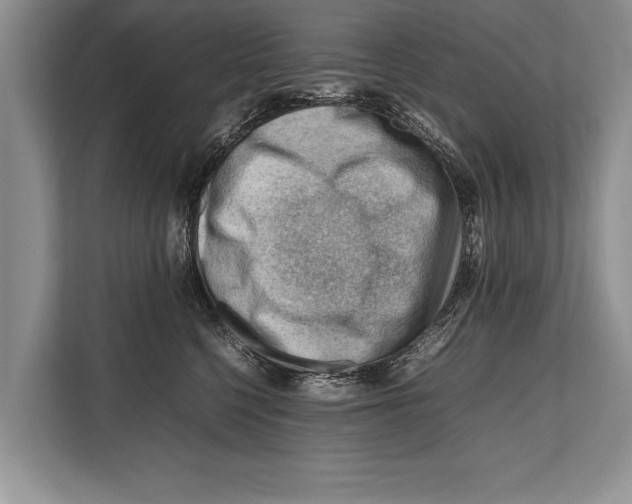 X0000112810568200909181552