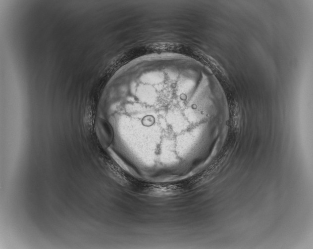 X0000112810569200909181552