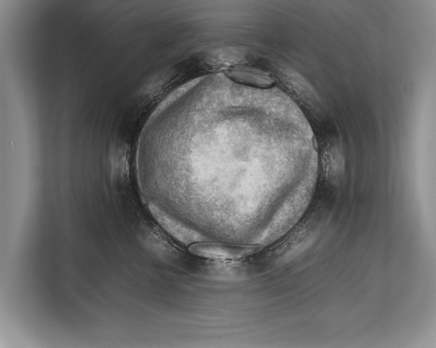 X0000112810570200909181552