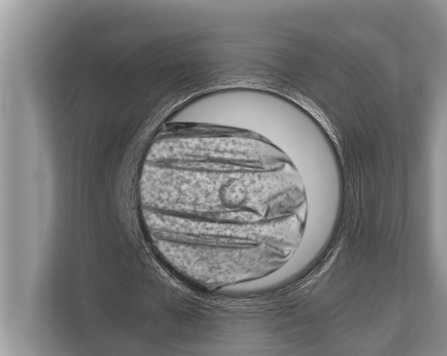 X0000112810577200909181552