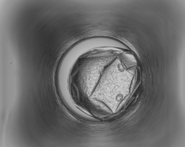 X0000112810581200909181552