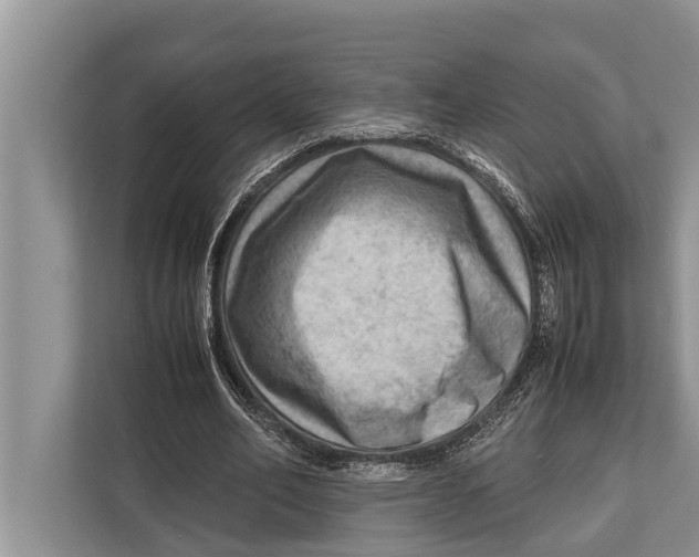 X0000112810582200909181552