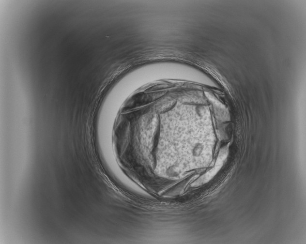 X0000112810585200909181552