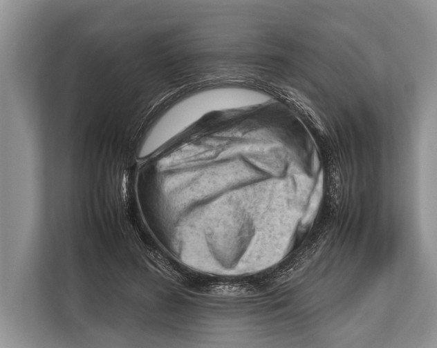 X0000112810596200909181552