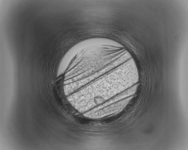 X0000112810597200909181552