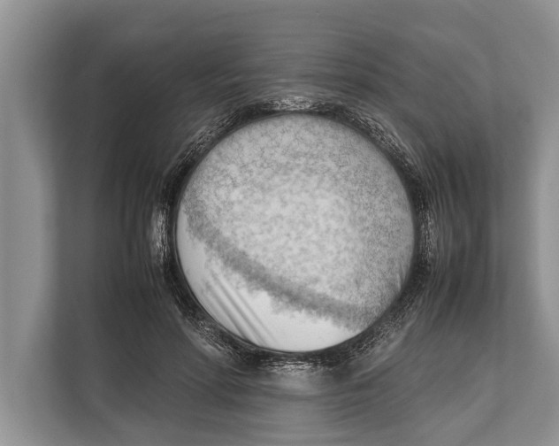 X0000112810598200909181552