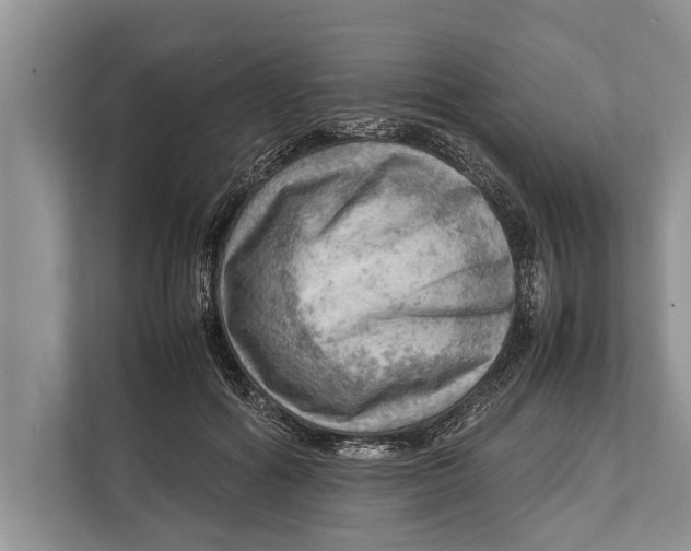 X0000112810602200909181552