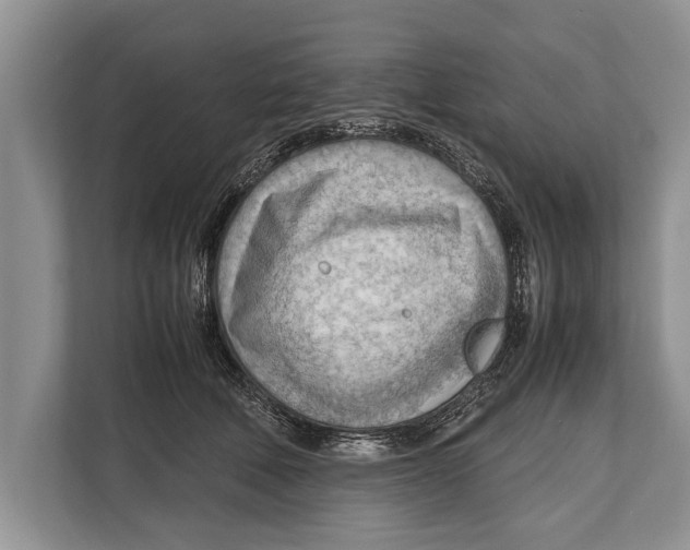 X0000112810610200909181551