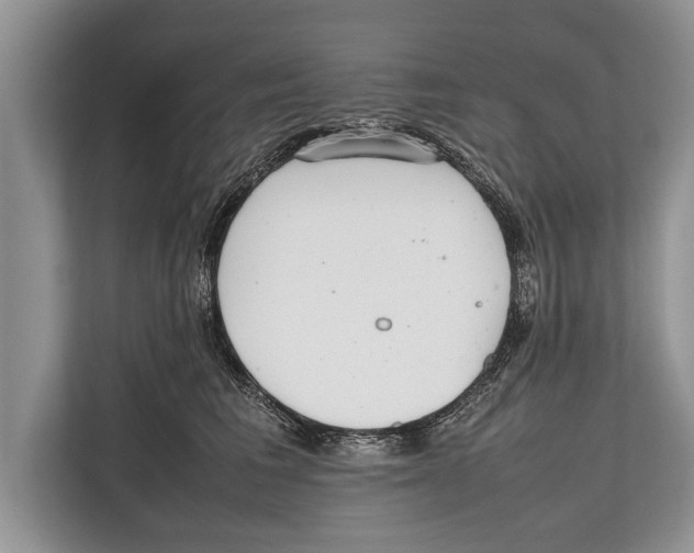 X0000112810613200909181551