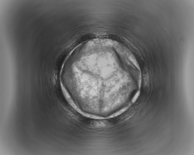 X0000112810618200909181551