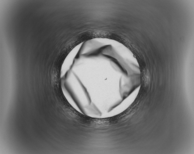 X0000112810619200909181551