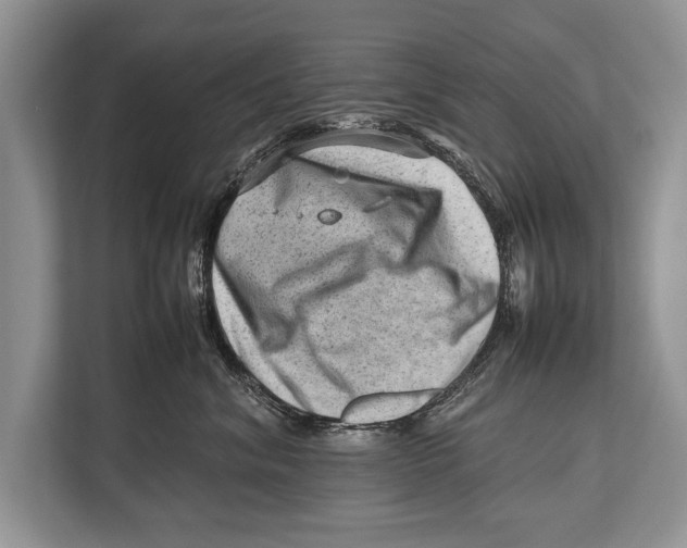 X0000112810620200909181551