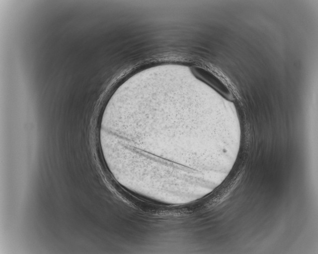 X0000112810625200909181551