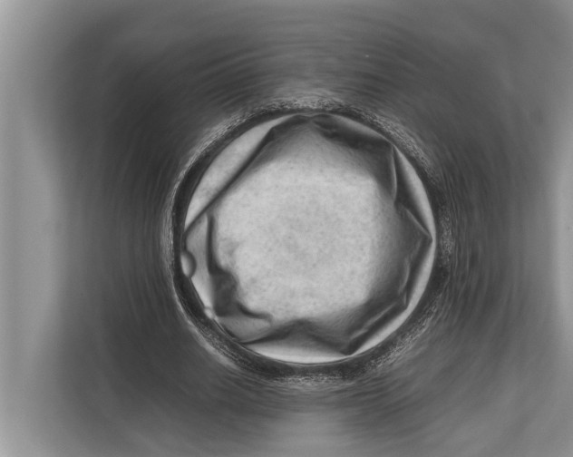X0000112810630200909181551