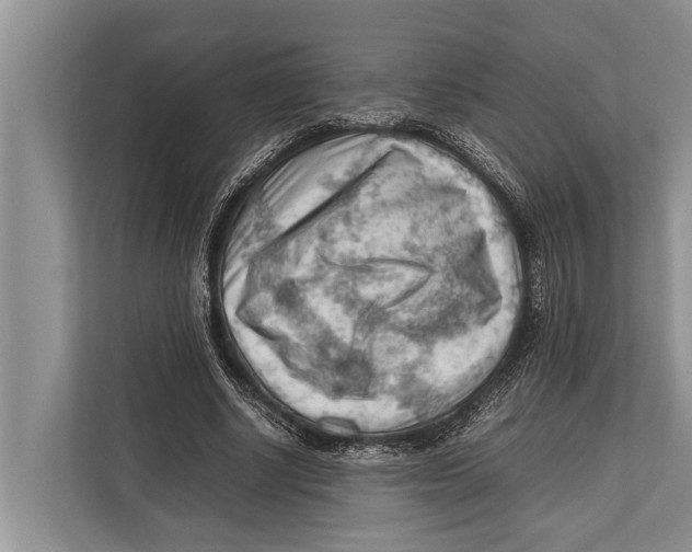 X0000112810634200909181551