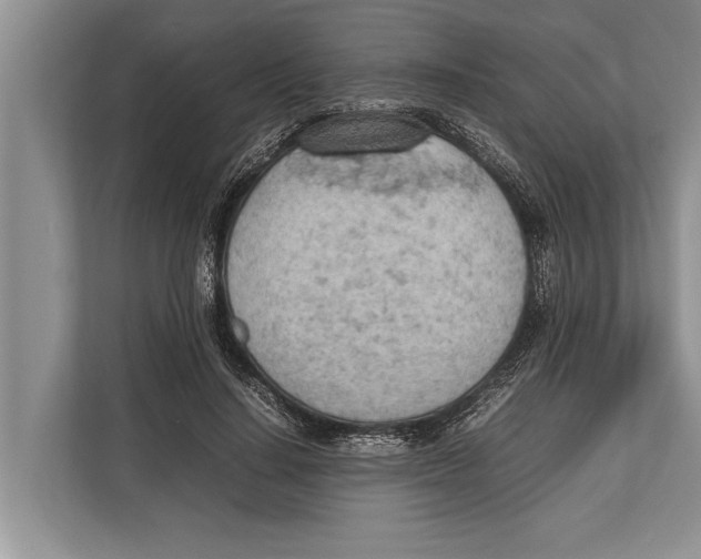X0000112810644200909181551