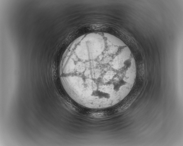 X0000112810653200909181551