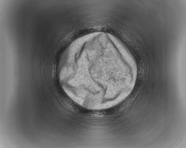 X0000112810656200909181551