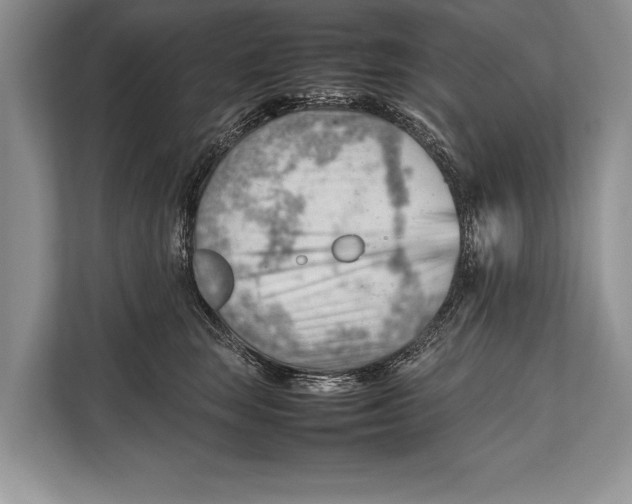 X0000112810663200909181551