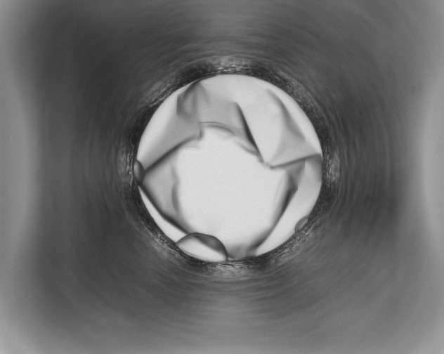 X0000112810666200909181551