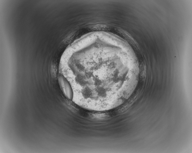 X0000112810669200909181551